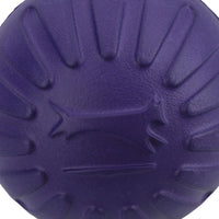 Large Interactive Play Durafoam Dog Puppy Ball Floating Toy-Assorted Colour