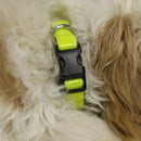 Night Dog Walking Hi-Visibility Yellow Dog Collar 10" - 15" (Small)