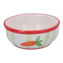 2 Small Animals Rabbit Guinea Ceramic Carrot Stripe Pet Feeding Water Bowls