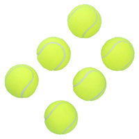 18pk Maxi Hyper Fetch Super Bounce Tennis Ball Dog Play Time 6cm