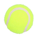 12Pk Standard Tennis Balls Dog Play Time Chuck & Fetch Game Dog Gift Set