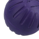 3PK Large Interactive Play Durafoam Dog Puppy Ball Floating Toy-Assorted Colour