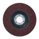 60 Grit Flap Discs Medium Grade Aluminium Oxide Sanding Removal Type 29