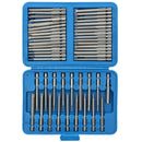 50pc Screwdriver Extra Long Bit Set Torx Hex Spline Phillips Pozi Star Security Bits