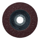 Type 29 Premium Flap Grinding Sanding Discs 80 Flaps 60 Grit Coarse 115mm