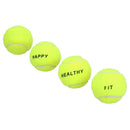 4PK Small Mini Interactive Tennis Ball Dog Play Time Throw Fetch Catch 4.8cm