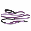 Large Purple All-In-One Shock Absorber Hand Free Running Dog Walking Lead