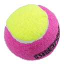 1 Medium Squeaky Tennis Balls Puppy Dog Play Time- 6.5cm Assorted Colour