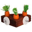 Small Animals Hamster Activity Carrot Toy 'n' Treat Holder & 9 Wooden Carrots