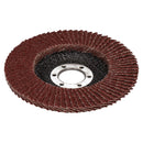 40 / 60 / 80 Grit Flap Discs Sanding Grinding For 4-1/2" Angle Grinders