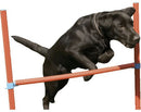 Easy Assemble Dog Pet Agility Hurdle With 6 Height Positions Fun Exercise.