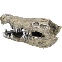 Small Aquatic Aquarium Nile Crocodile Skull Fish Tank Ornament 6x7x15cm