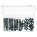 100pc Nut And Bolt Set 10mm Thread (M10 x 1.5) Various Length 30-100mm Bolts