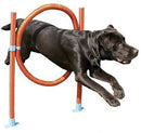 Easy Assemble Dog Pet Agility Hoop With 6 Height Positions Fun Exercise.