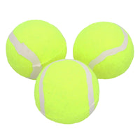 Dog Christmas Gift Yard Of Tennis Balls Set Perfect Present For Ball Obsessed Dog