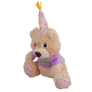 Super Soft Plush Squeaky Birthday Bear Dog Puppy Happy Birthday Gift