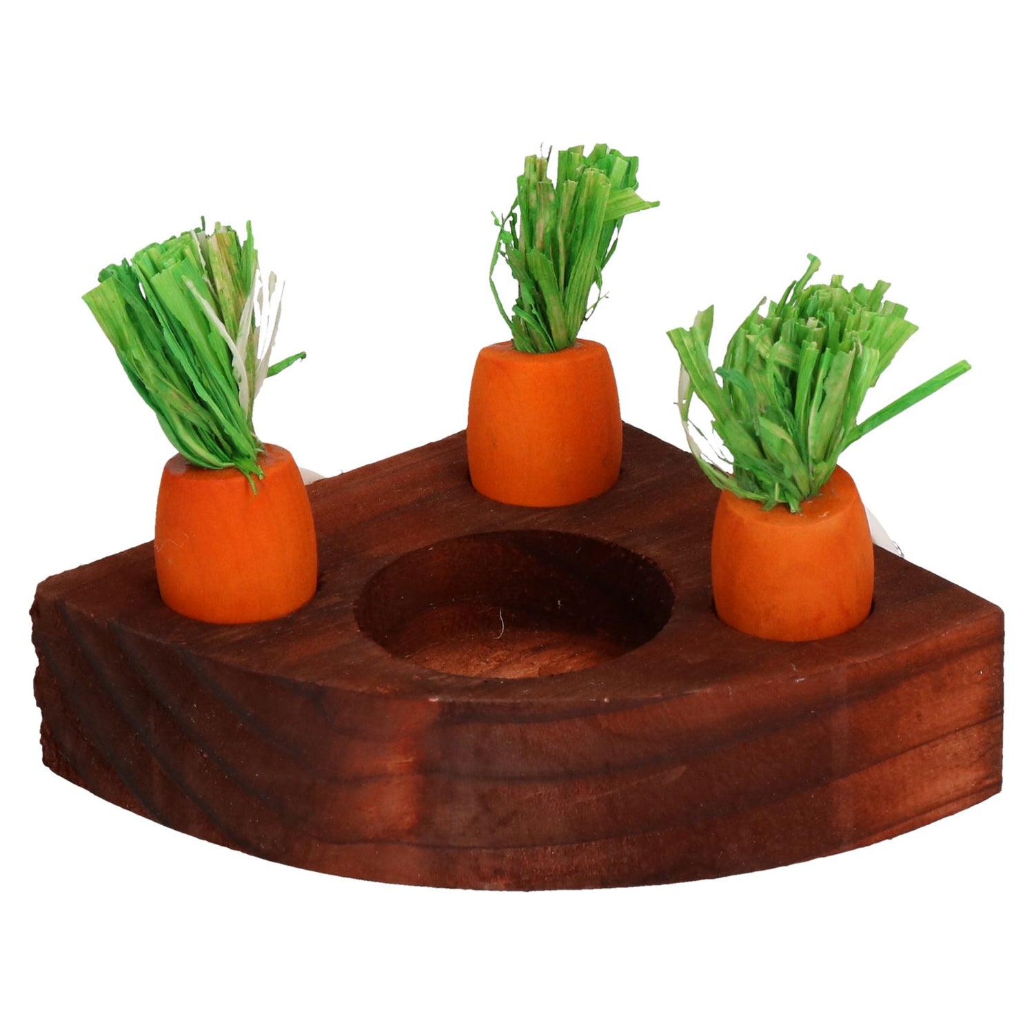 Small Animals Hamster Activity Carrot Toy 'n' Treat Holder & 9 Wooden Carrots